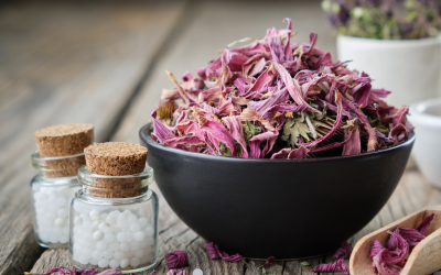 LAS EDADES DEL HOMBRE